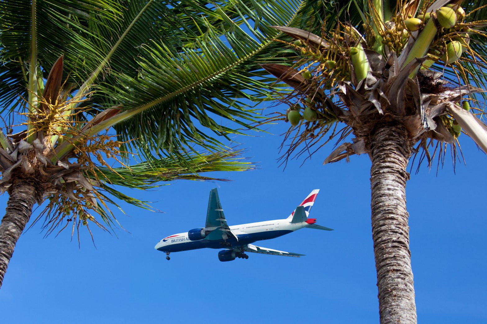 UK Health Security Agency urged travellers to check for information before they go abroad photo
